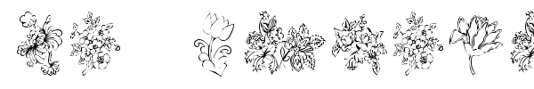 KR Floral Color Me font preview
